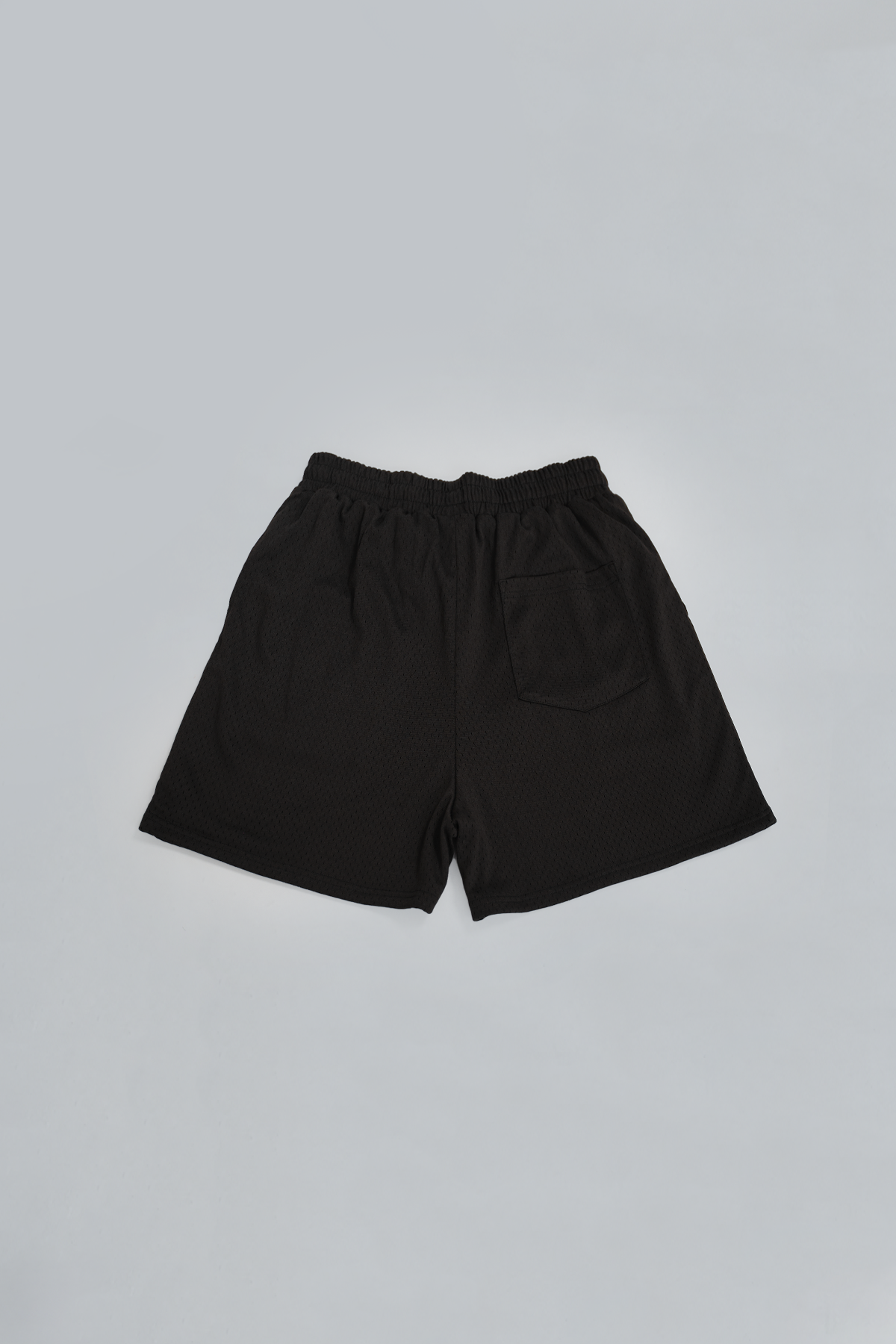 Black Mesh Shorts